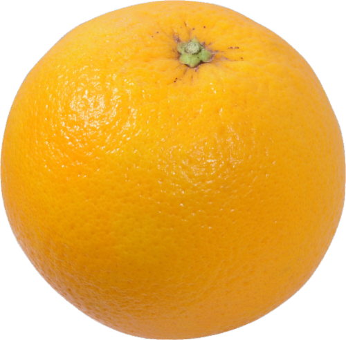 Medium Valencia Oranges