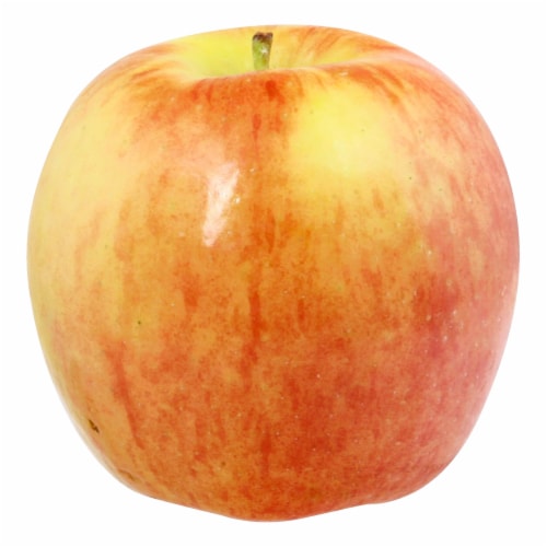 Large Ambrosia Apple
