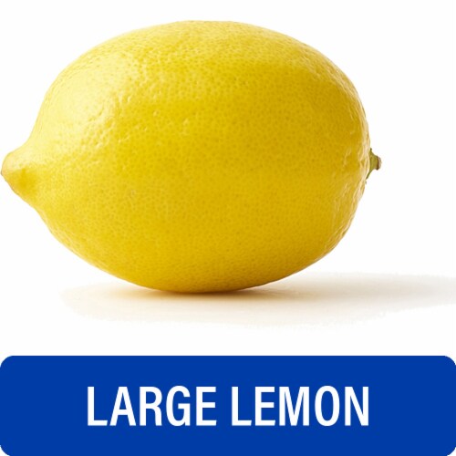 Fresh Large Lemon – Each