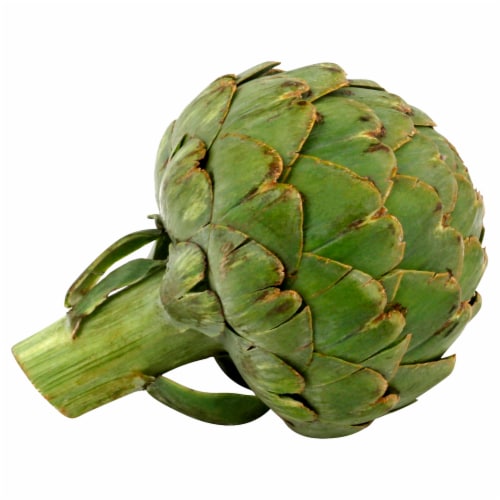 Fresh Large Artichoke