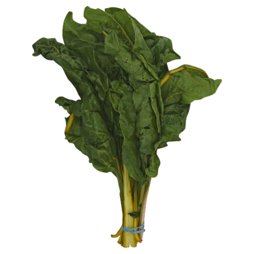 Rainbow Swiss Chard