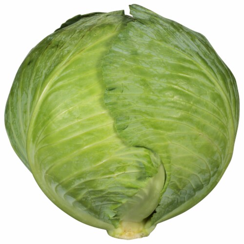Organic Green Cabbage