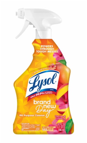 LYSOL® Trigger Brand New Day™ Mango & Hibiscus All Purpose Cleaner