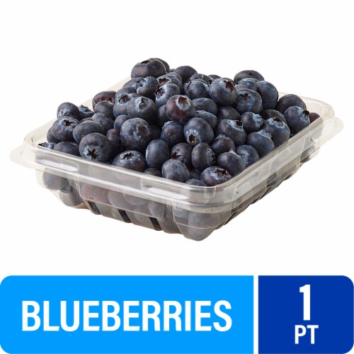 Fresh Blueberries – 1 PT Clamshell