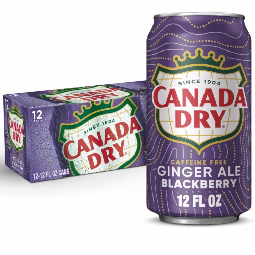 Canada Dry Blackberry Ginger Ale Soda Cans