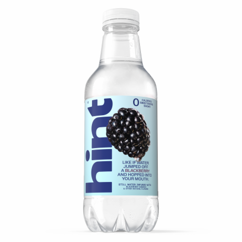 Hint® Zero-Calorie Blackberry Flavored Water Bottle