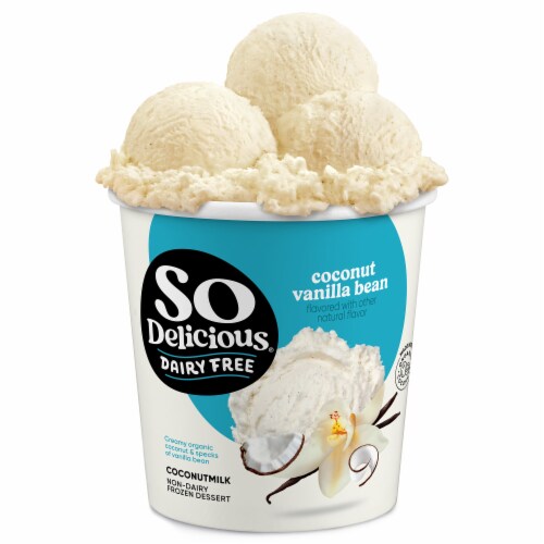 So Delicious Dairy Free Vegan Vanilla Bean Coconut Milk Frozen Dessert Pint