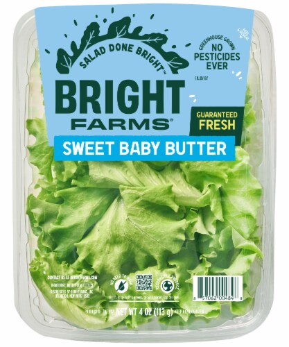 BrightFarms Sweet Baby Butter Leaf Lettuce, 4 oz Salad