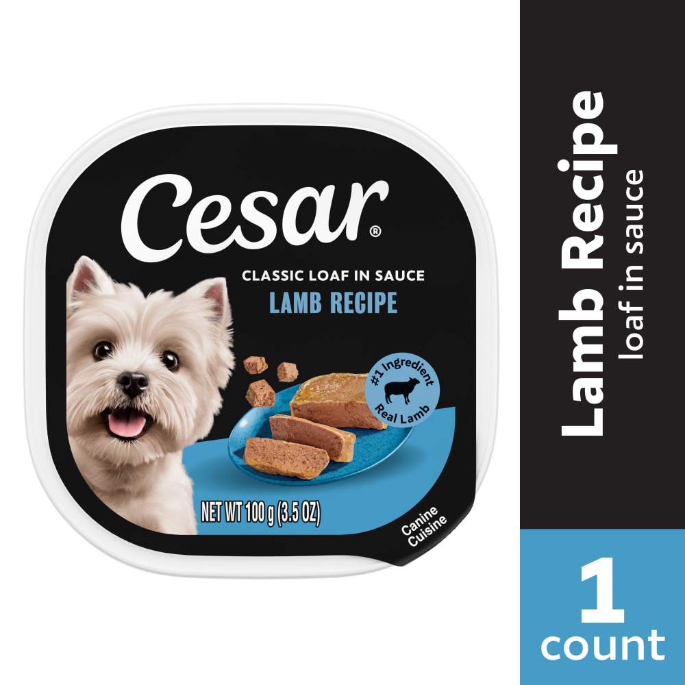 Cesar Adult Soft Wet Dog Food Lamb Recipe Classic Loaf in Sauce