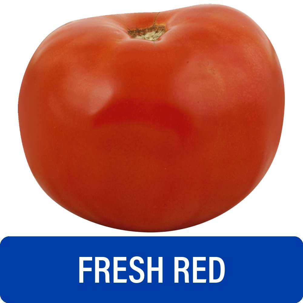 Fresh Red Tomato