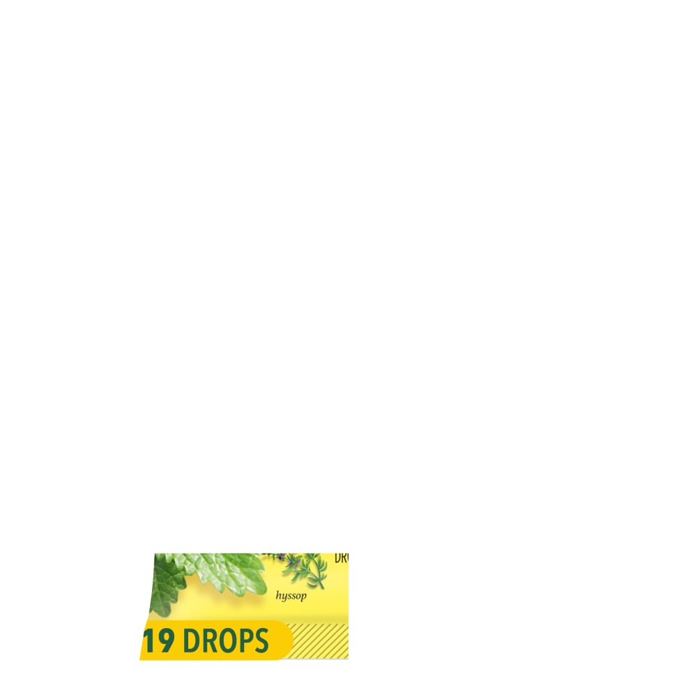 Ricola ™ SF Lemon-Mint Bags 19 Ct.