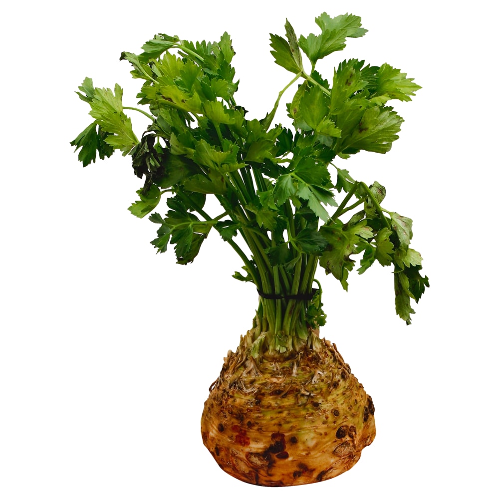 Celery Root – Bulk