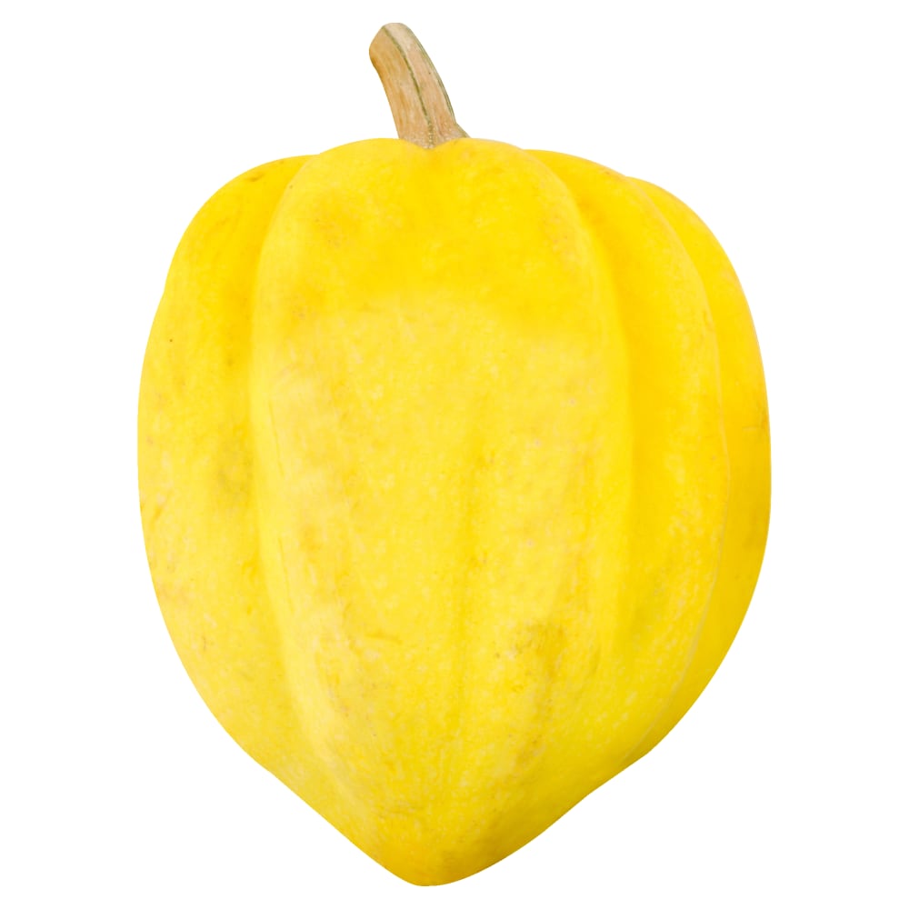 White Acorn Squash