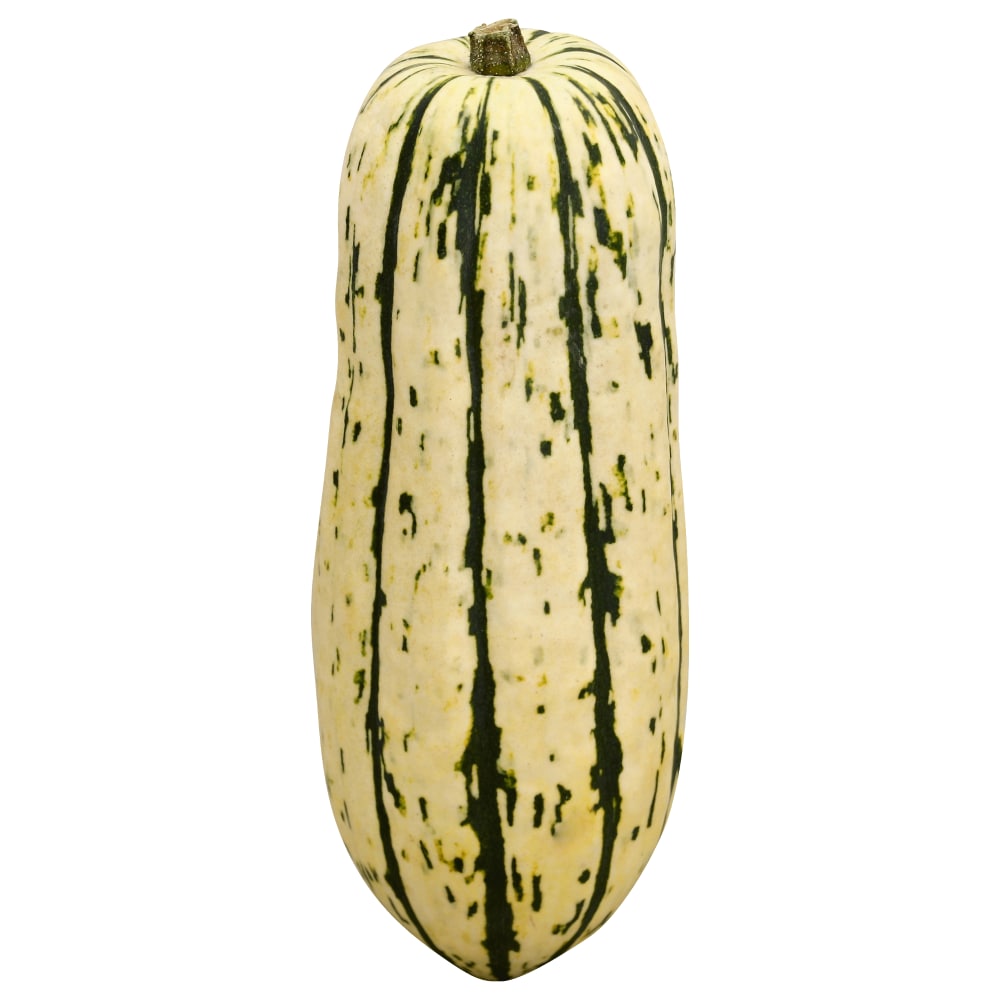 Frieda’s Squash Delicata