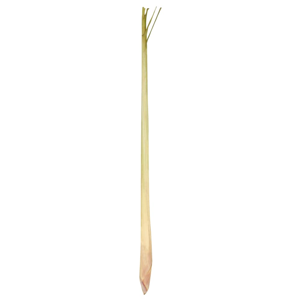 Lemon Grass
