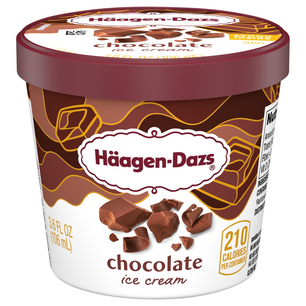Haagen-Dazs Chocolate Ice Cream Cup
