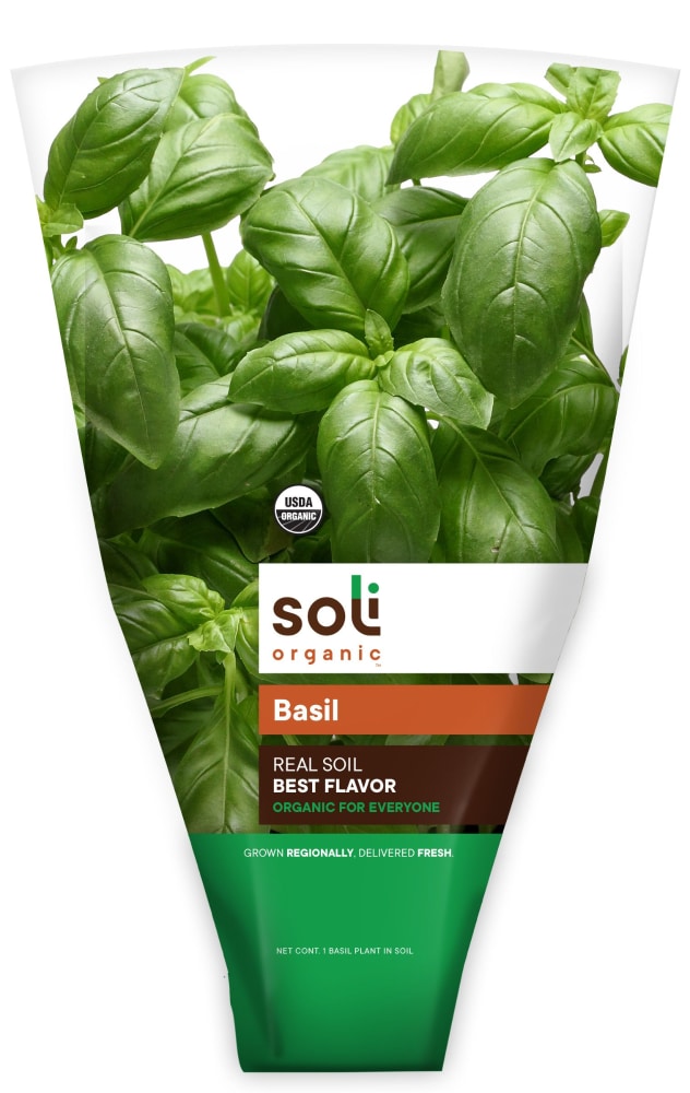 Soli Organic™ Living Basil