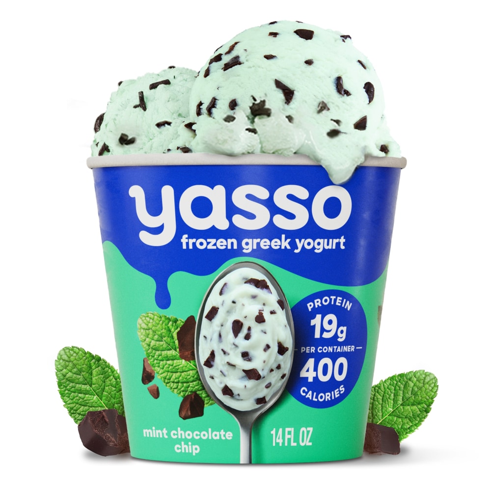 Yasso ® Ice Cream Mint Chocolate Chip 14 Fl Oz