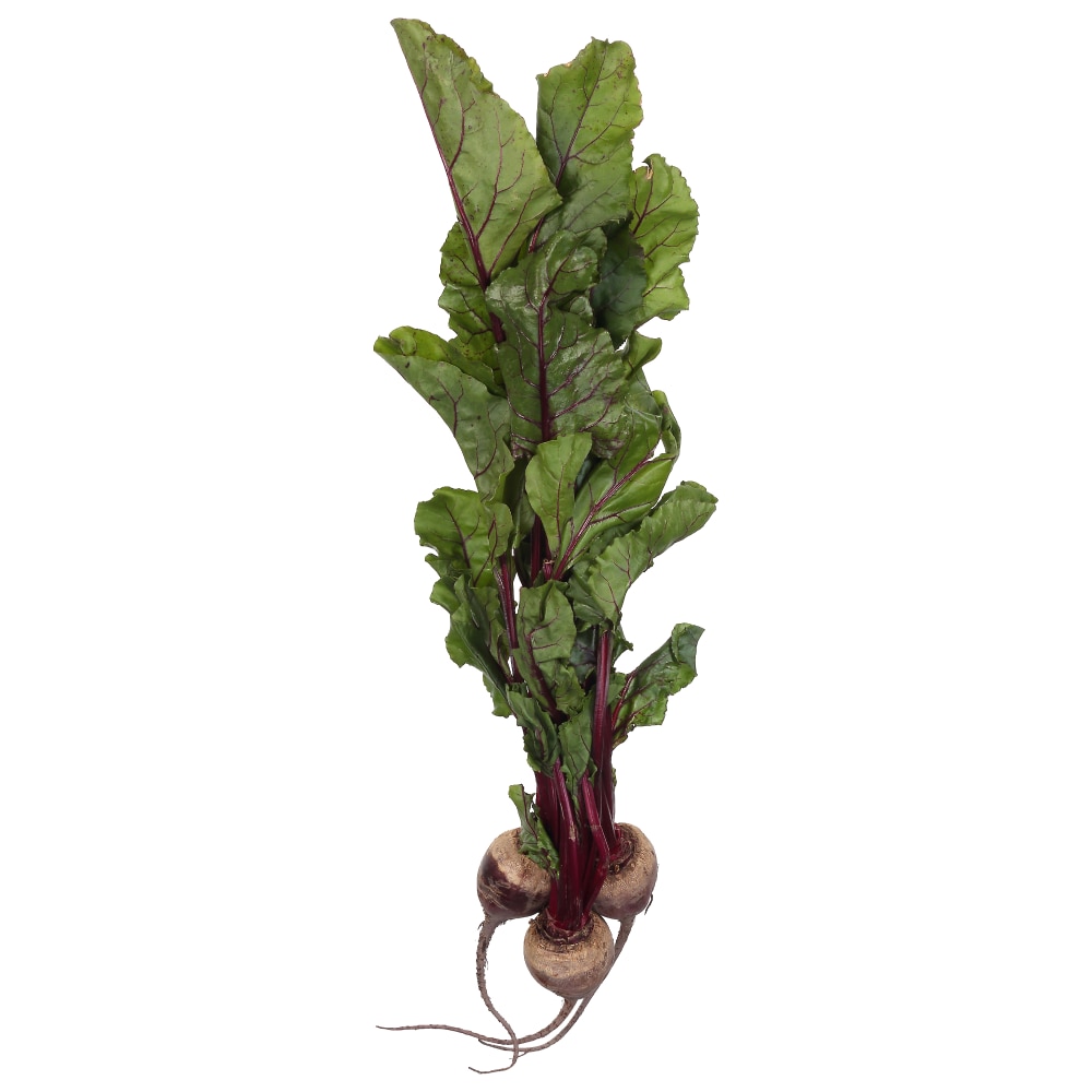 Organic Red Beets