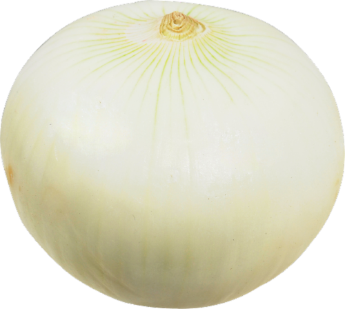 Peeled Jumbo White Onions Peeled Jumbo White Onions