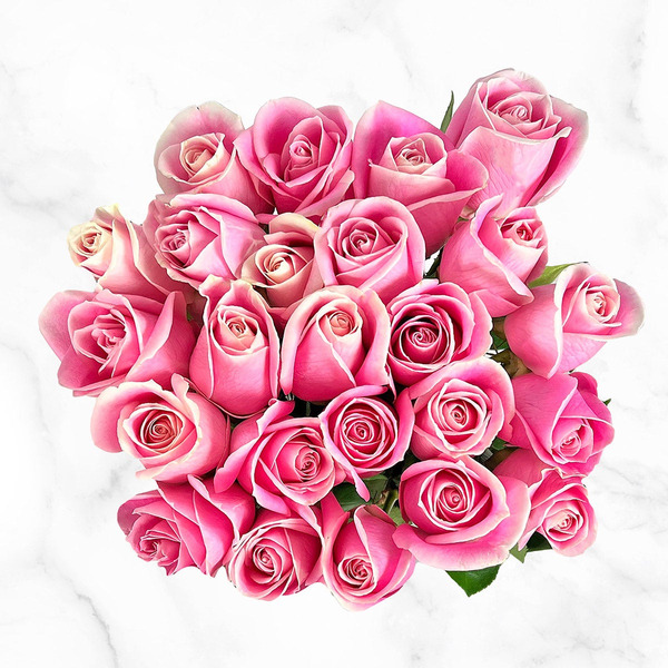 Two Dozen Premium Pink Roses