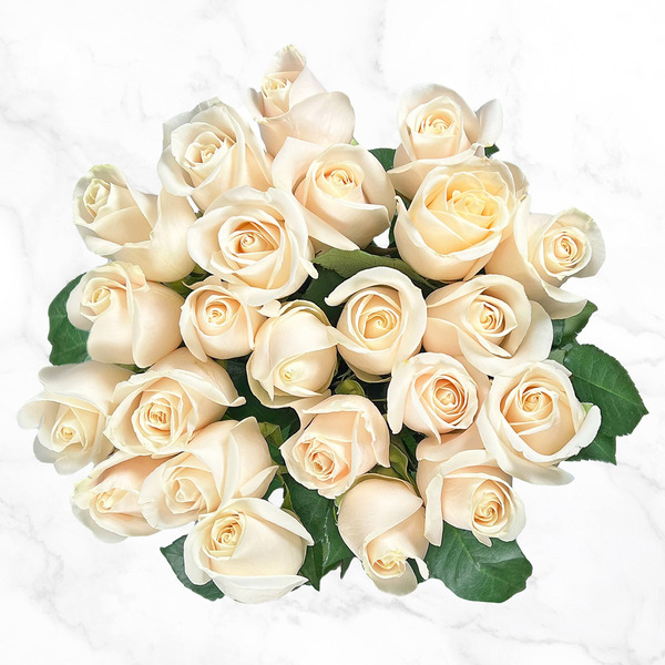 Two Dozen Premium White Roses